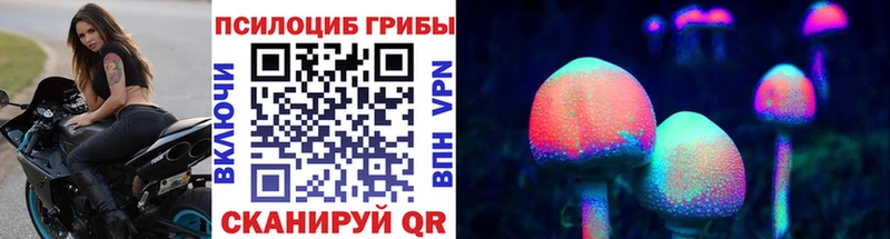 Псилоцибиновые грибы Psilocybe  наркотики  Инза 