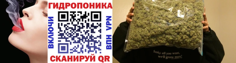 МАРИХУАНА SATIVA & INDICA  ссылка на мегу ССЫЛКА  Инза 